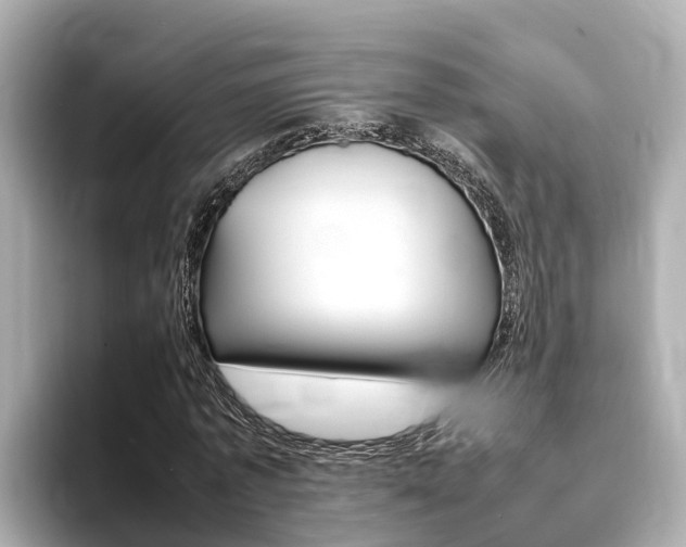 X0000093750773200710160809