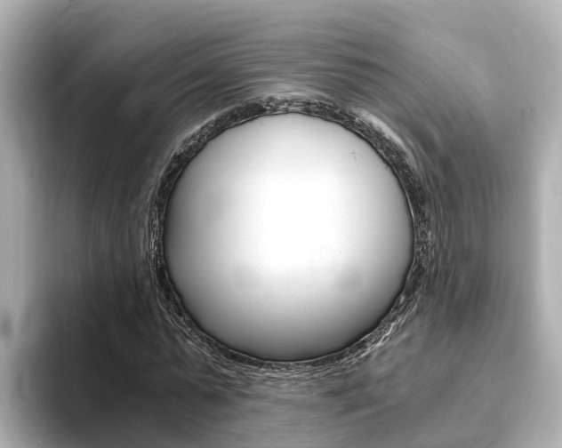 X0000093750775200710160809