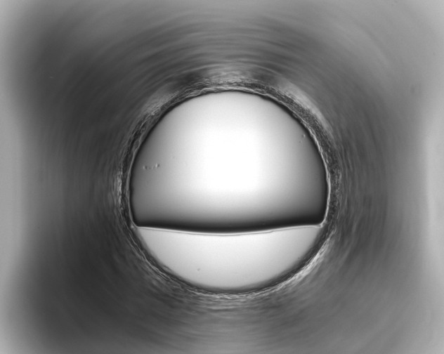 X0000093750777200710160809