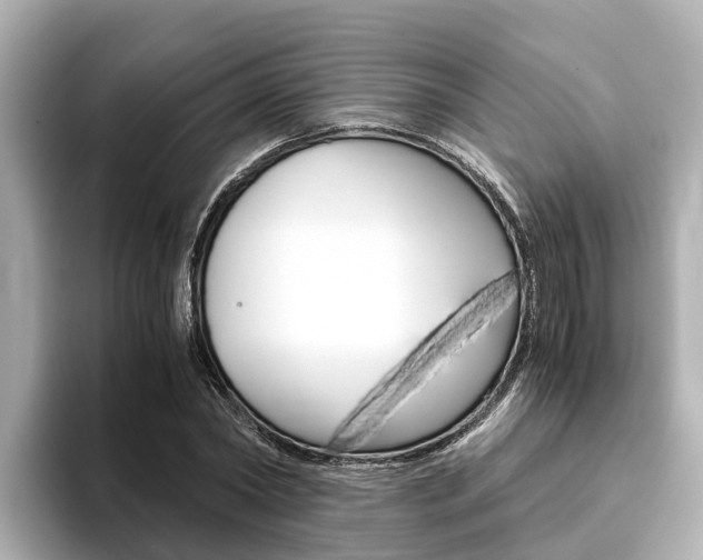 X0000093750782200710160809