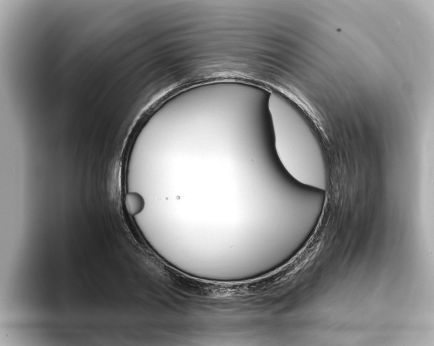 X0000093750790200710160809