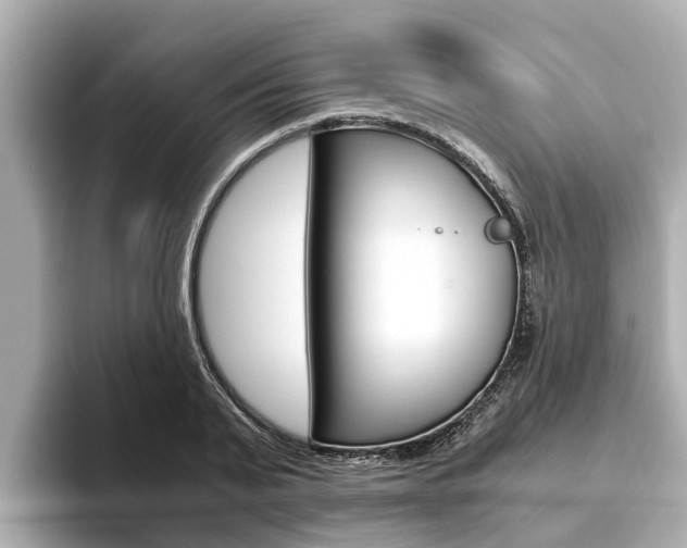 X0000093750791200710160809