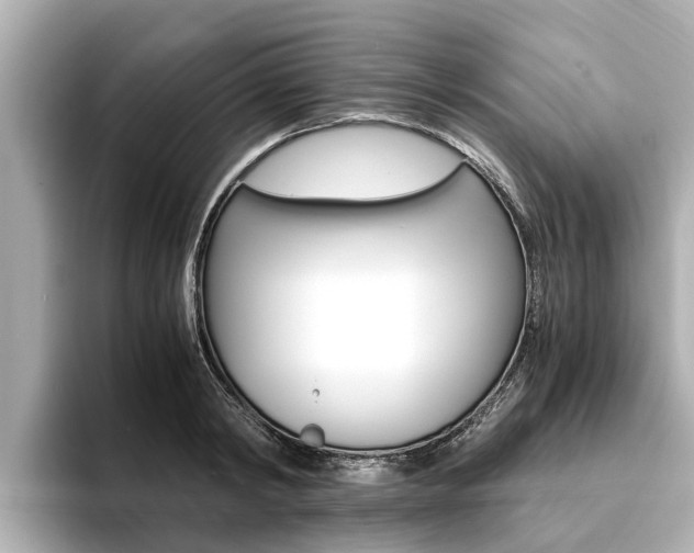 X0000093750798200710160809