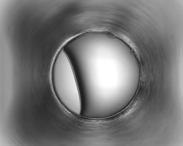 X0000093750803200710160809