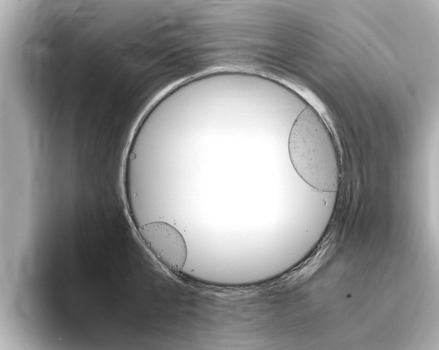 X0000093750807200710160809