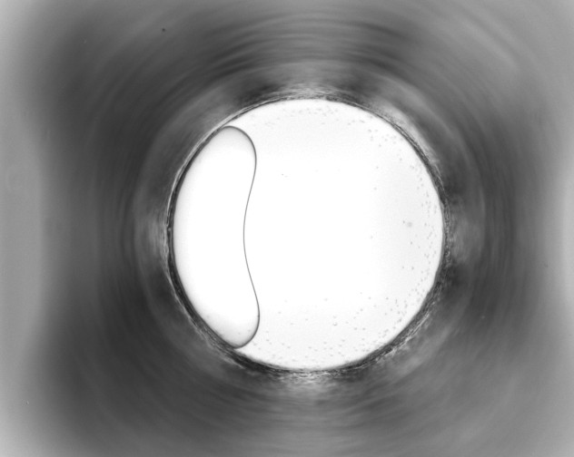 X0000093750810200710160809