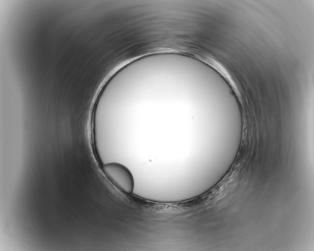 X0000093750811200710160809