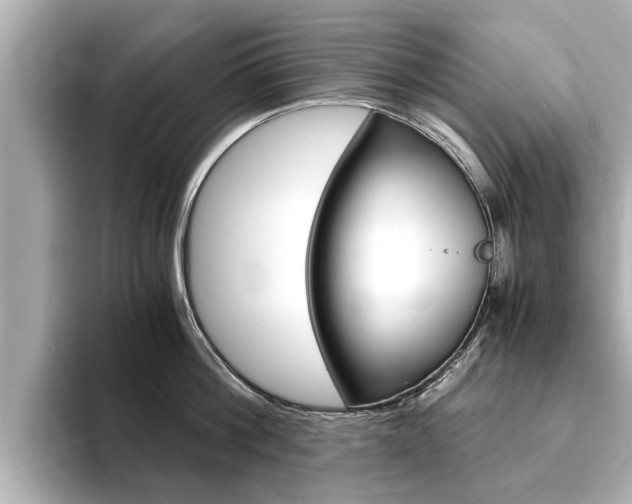 X0000093750812200710160809