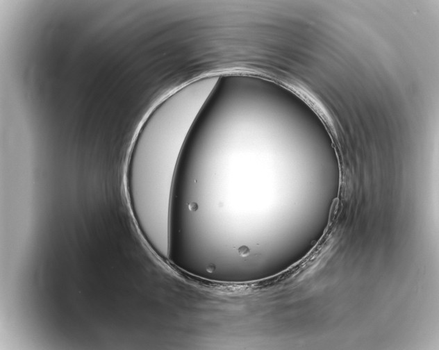 X0000093750813200710160809