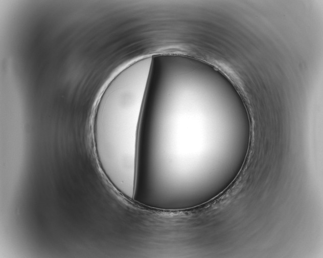 X0000093750816200710160809