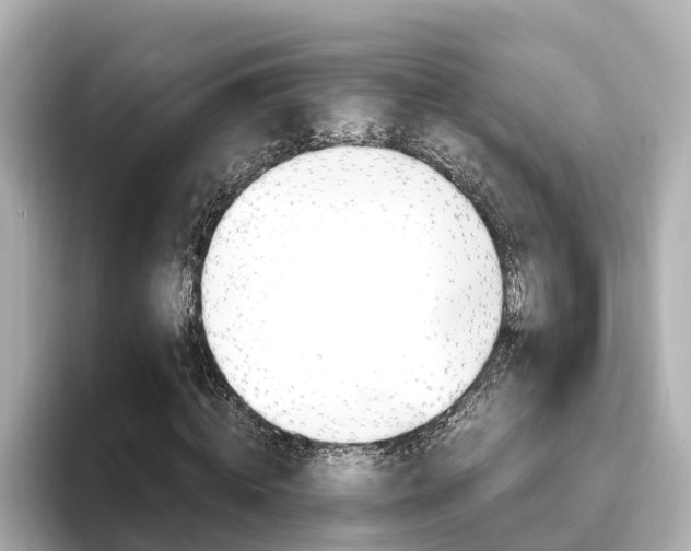 X0000093750820200710160808