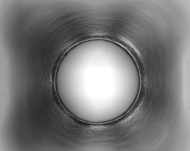 X0000093750825200710160808