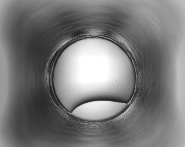 X0000093750827200710160808