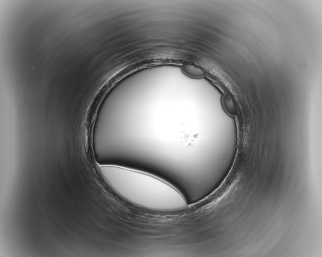 X0000093750829200710160808