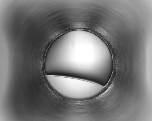 X0000093750833200710160808