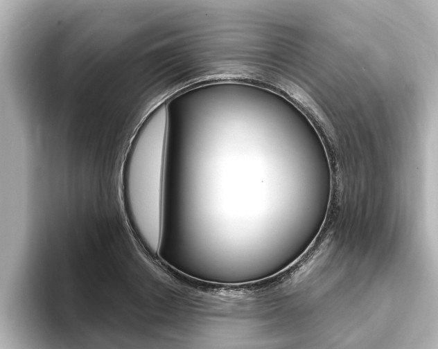 X0000093750842200710160809