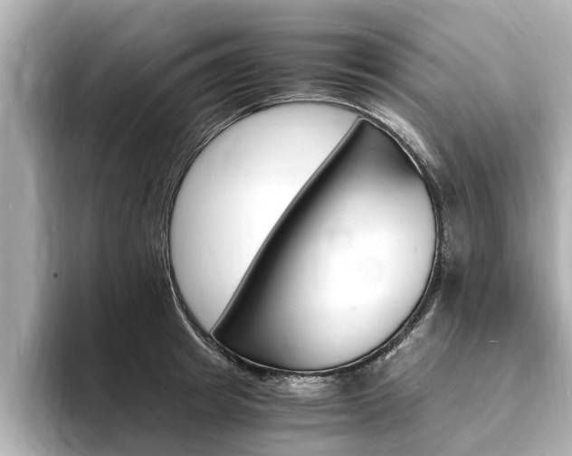 X0000093750849200710160809