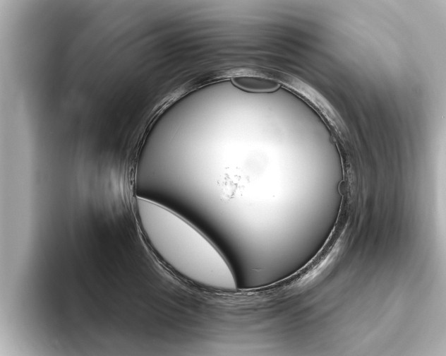 X0000093750857200710160809