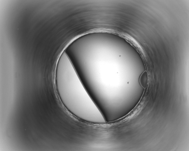 X0000093750860200710160809