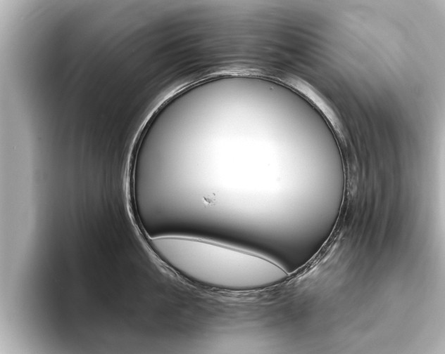 X0000093750861200710160809