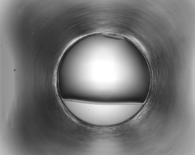 X0000093750862200710160809