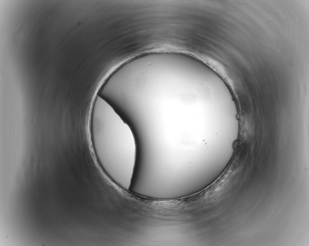X0000093750863200710160809