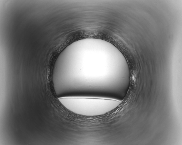 X0000093750867200710160808
