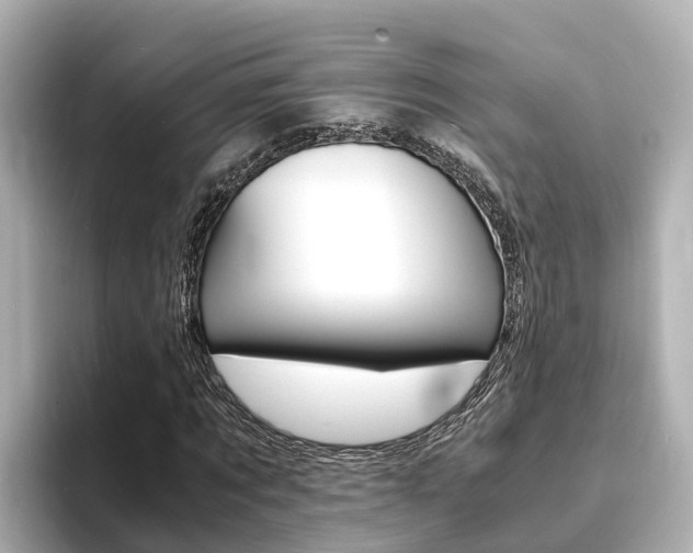 X0000093750869200710160808