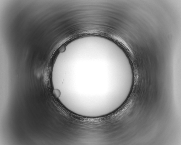 X0000093750874200710160808