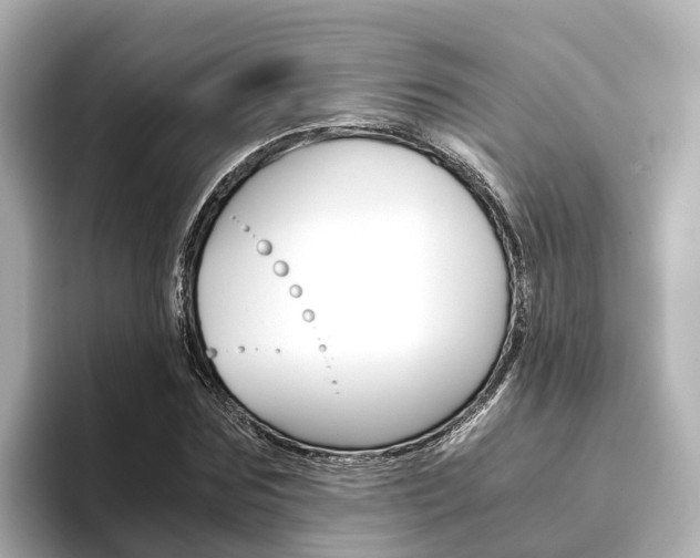 X0000093750875200710160808