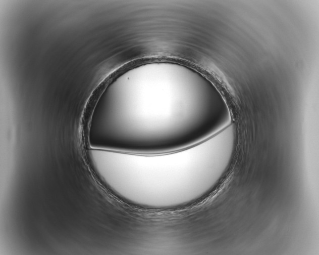 X0000093750876200710160808