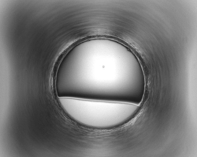 X0000093750877200710160808