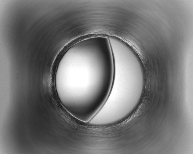 X0000093750880200710160808