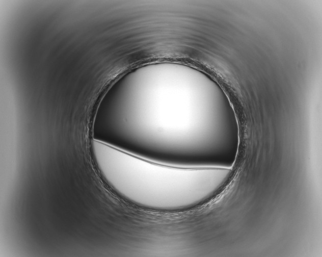 X0000093750881200710160808