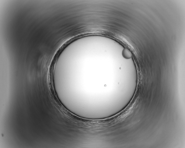 X0000093750883200710160808