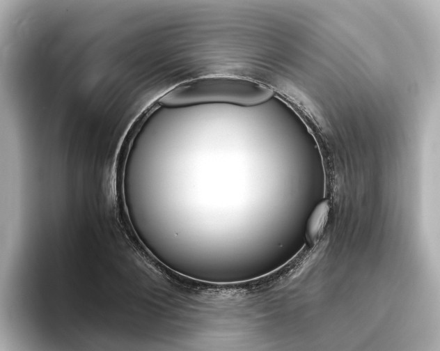 X0000093750884200710160808