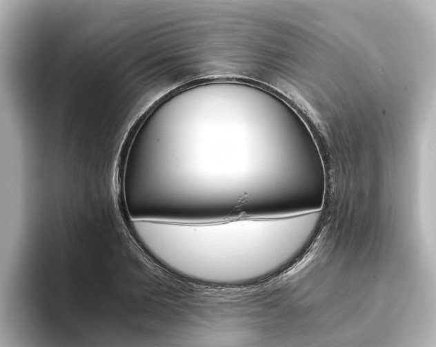 X0000093750885200710160808