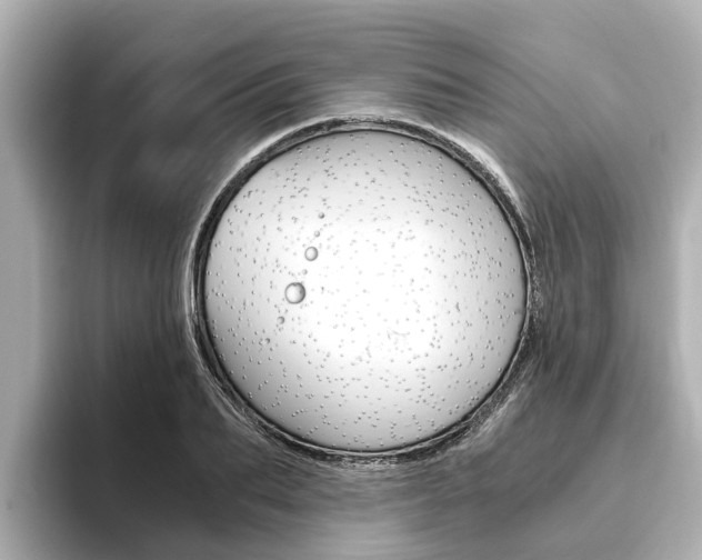 X0000093750887200710160808