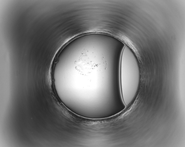 X0000093750892200710160808