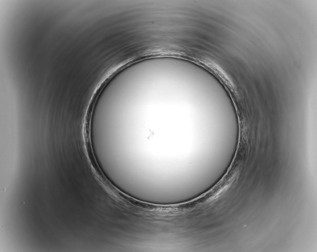X0000093750893200710160808