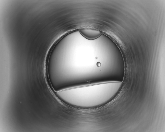 X0000093750894200710160808