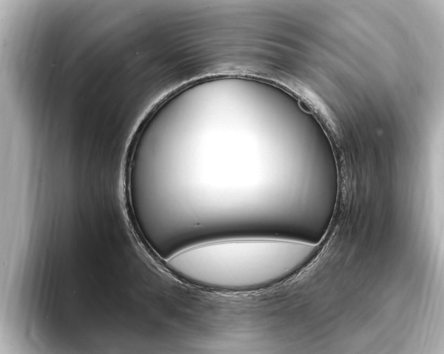X0000093750896200710160808