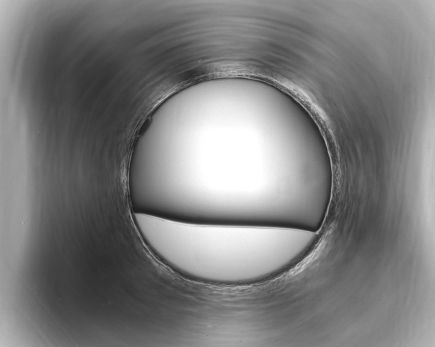 X0000093750897200710160808
