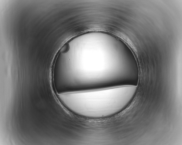 X0000093750898200710160808