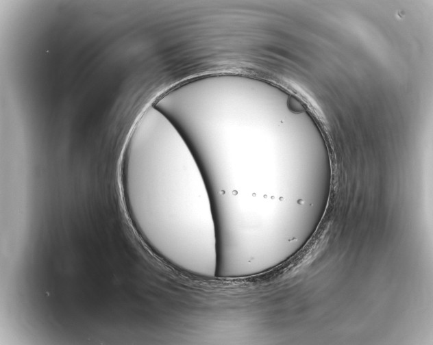 X0000093750899200710160808