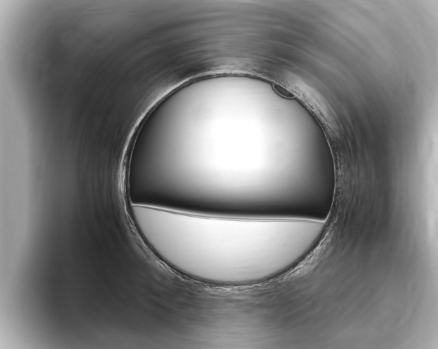 X0000093750900200710160808