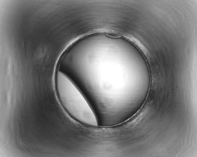 X0000093750902200710160808