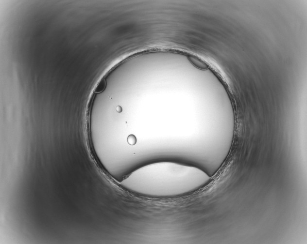 X0000093750903200710160808