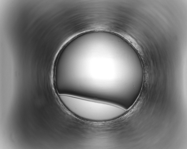 X0000093750904200710160808