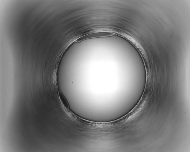 X0000093750905200710160808
